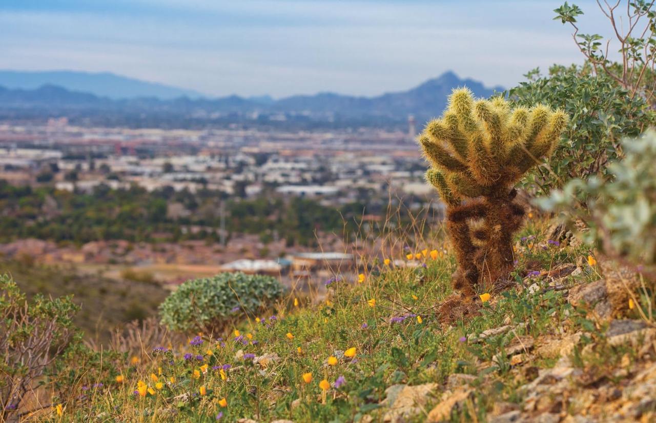 Raintree At Phoenix South Mountain Preserve Exterior foto